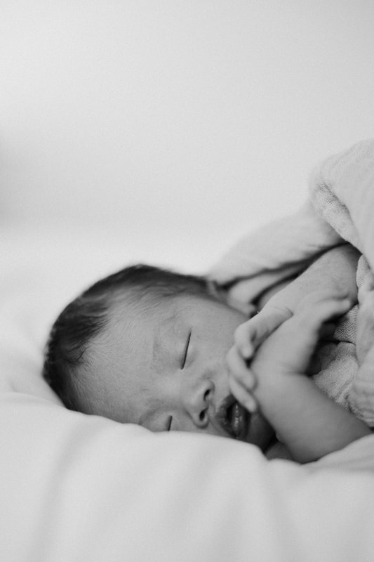 newborn photography in los Angeles 